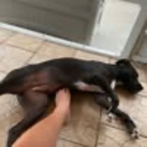 Meet your Posher, Barbara